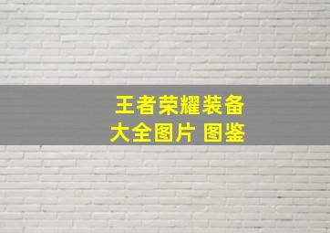 王者荣耀装备大全图片 图鉴